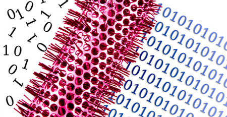 data-cleanse-lg